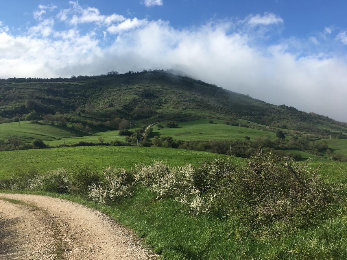 La Posada Nueva Viscarret-Guerendiain Esterno foto